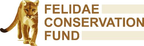 Felidae Conservation Fund logo