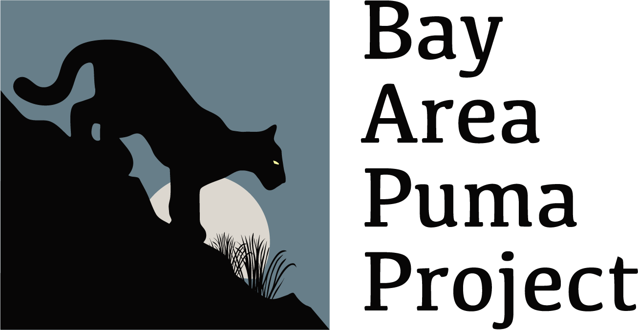 Bay Area Puma Project